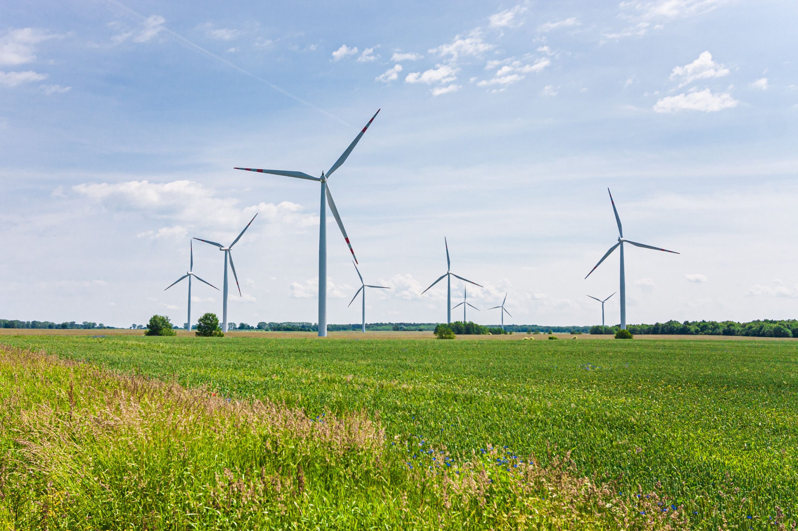 Poland’s Green Revolution: Facts and Future of Renewable Energy